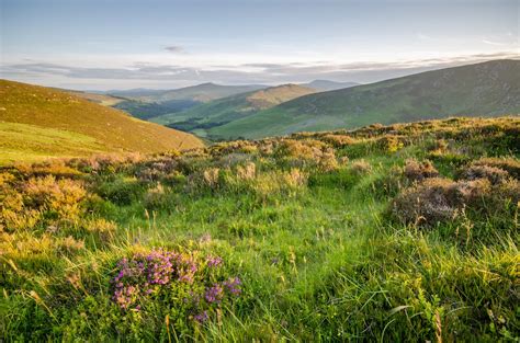 Wicklow Mountains National Park