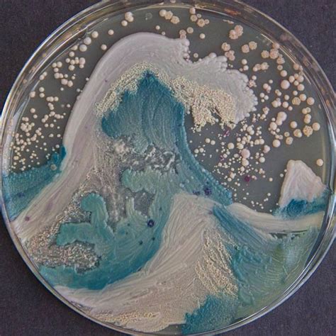 Microbiologists Create ‘Starry Night’ And Other Art With Bacteria For ...