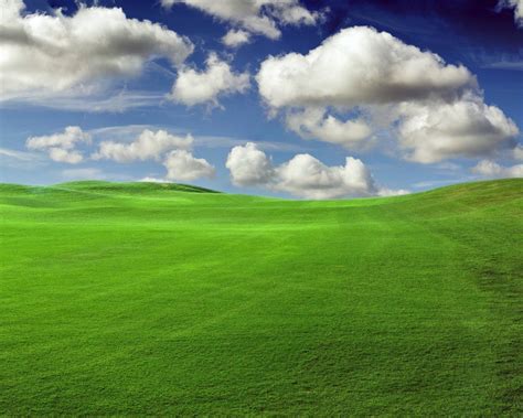 Green Fields - Green Wallpaper (20340138) - Fanpop