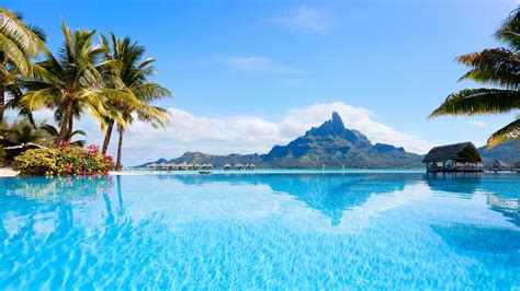 Landscape Of Polynesia Resort Sea Bora Bora Island With Palm Trees HD ...