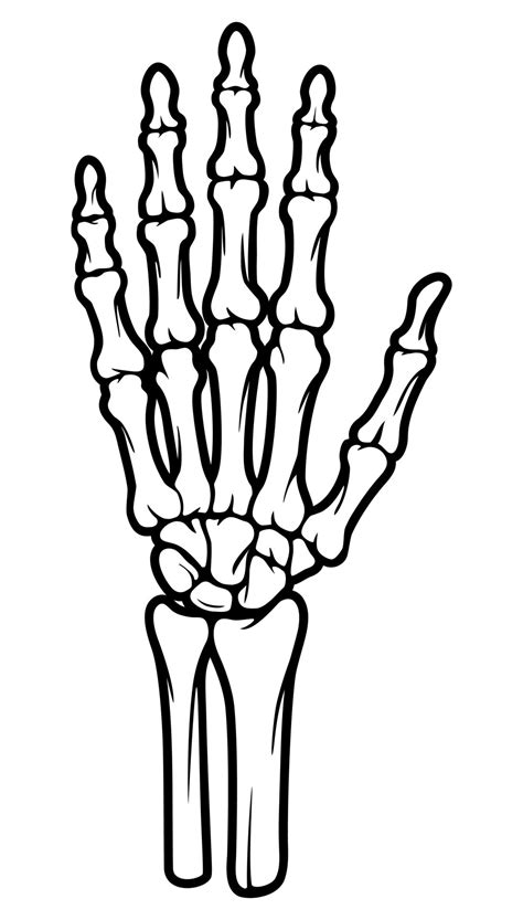 Skeleton bone hand illustrations 26418494 Vector Art at Vecteezy