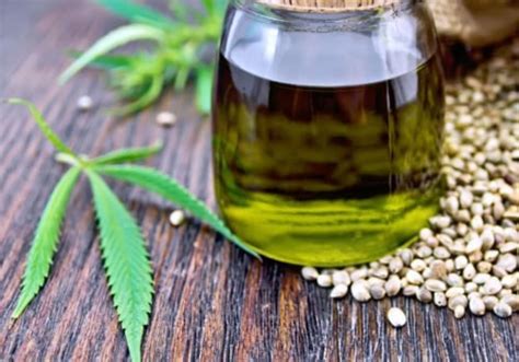 The Many Uses of Hemp: Exploring the Benefits of Every Part of the Plant