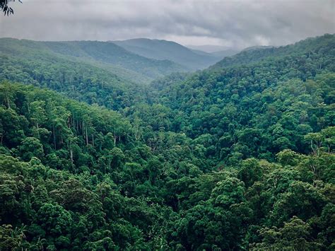 Brutte notizie in Amazzonia: la foresta pluviale adesso emette CO2