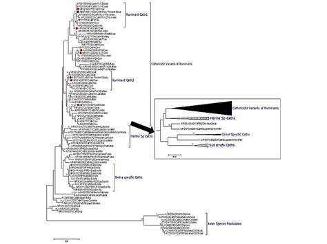 Bioinformatics Software and Tools - Databases, software list and training for biologists