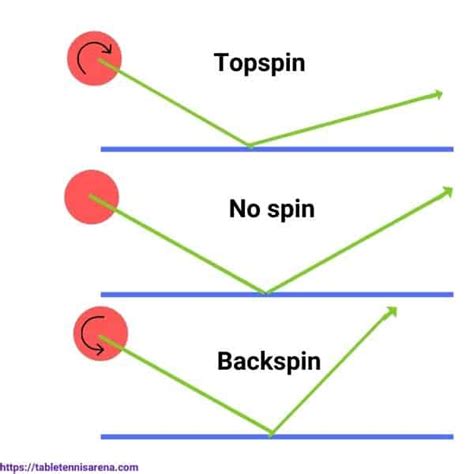 Spin in Table Tennis: How to Create and Counter - TABLE TENNIS ARENA