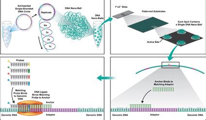 Nature Methods honors single-cell sequencing - 2014 - Wiley Analytical ...