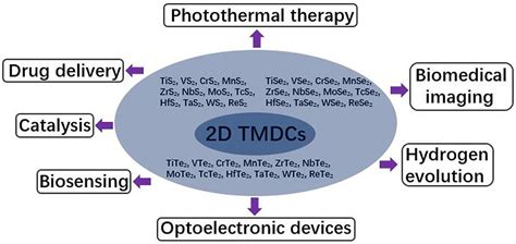 Frontiers | Two-Dimensional Transition Metal Dichalcogenides: Synthesis, Biomedical Applications ...