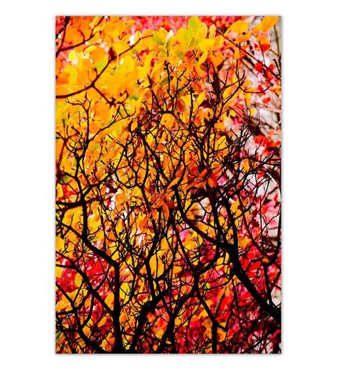 Buy Yellow Wooden Framed Printed Beautiful Autumn Wood Canvas Art Print by 999Store Online ...