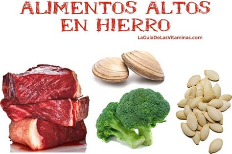 19 Alimentos Ricos em Ferro Para Combater a Anemia por deficiência de ferro – O Guia das ...