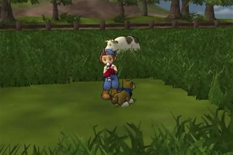 Harvest Moon: Save the Homeland | Stash - Games tracker