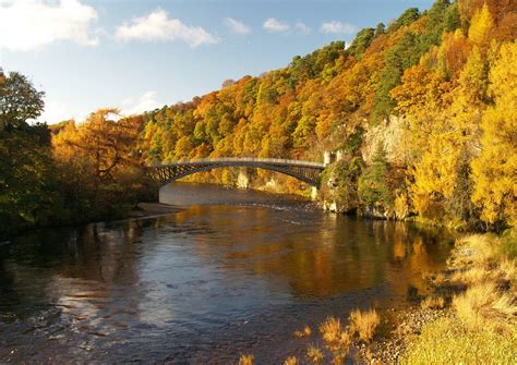 Holidays in Glenlivet in the Cairngorms National Park: Autumn Gold on ...