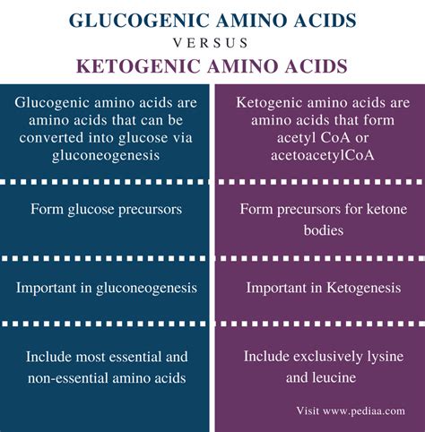 Difference Between Glucogenic and Ketogenic Amino Acids | Definition, Examples