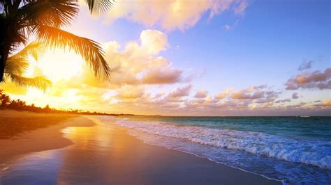 Palm Trees Beach Sand Ocean Waves Under White Clouds Blue Sky During Sunset 4K HD Sunset ...