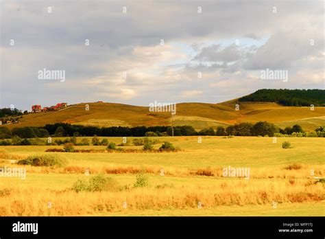 Nature in Serbia, Europe Stock Photo - Alamy