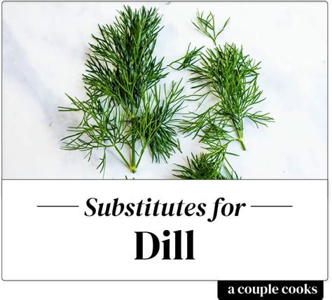 Best Dill Substitute – A Couple Cooks