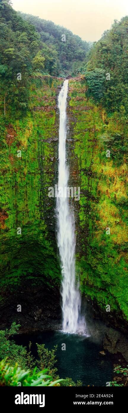 View of a waterfall, Akaka Falls, Akaka Falls State Park, Hawaii County ...