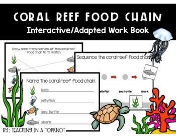 Coral Reef Food Chain Adapted Work Book by Teaching in a Topknot