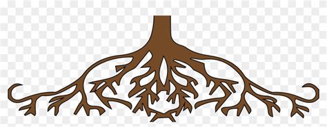 Animated Tree Roots - Parts Of The Tree Roots - Free Transparent PNG ...