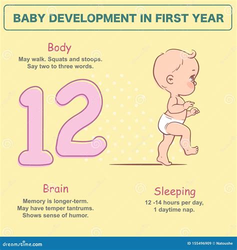 Little Newborn Baby of 12 Months. Development Infographics Stock Vector - Illustration of ...