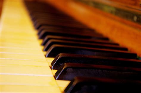 Piano Keys Free Photo Download | FreeImages