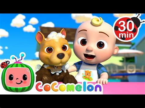 Bingo's Bath Song | CoComelon Nursery Rhymes & Kids Songs - Videos For Kids