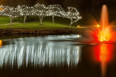 13 Pond Lighting Ideas for an Amazingly Bright Pond