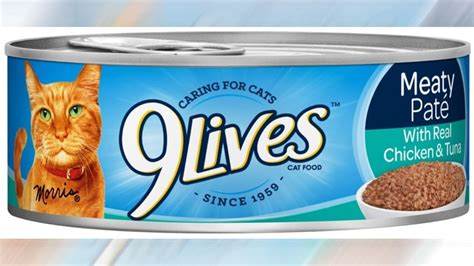 9Lives, Special Kitty cat food recalled for low vitamin B1 levels ...