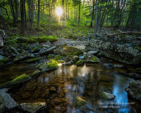 Nature Photography, Magical Woodland Scene, Sunset, Creek, Fine Art Print, Enchanted Forest ...