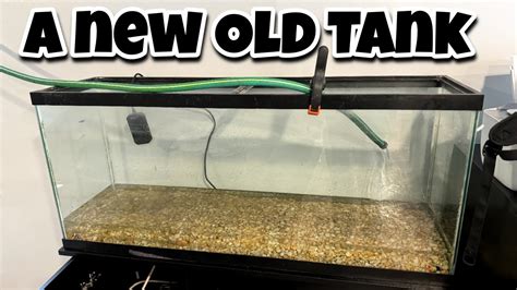 A new tank set up! - YouTube