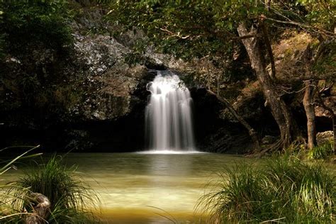 Kondalilla Falls swimming hole. A must visit attraction just 30 mins ...