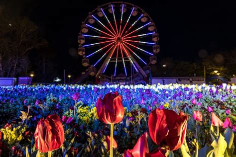 Bloom times for record-breaking Floriade | About Regional