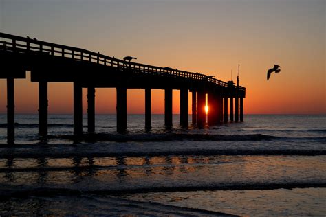 Fishing Pier At Sunrise Free Stock Photo - Public Domain Pictures