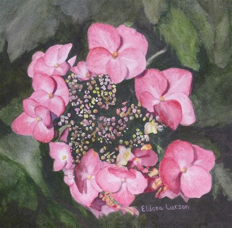 Pink Hydrangea Painting by Eldora Schober Larson | Fine Art America