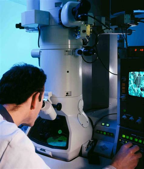 Scanning Electron Microscope - dpUNION