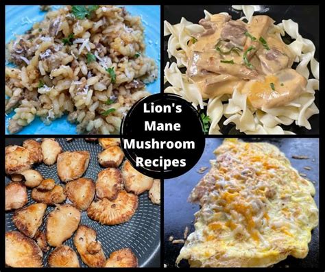 Best Lion Mane Mushroom Recipes - From Michigan To The Table