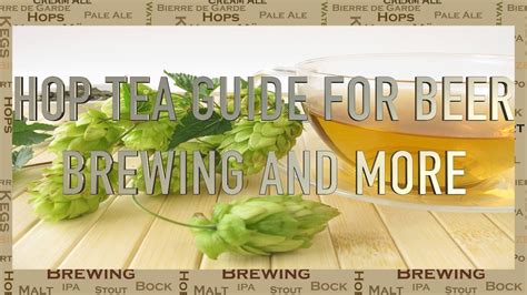 Hop tea guide for beer brewing and more - YouTube