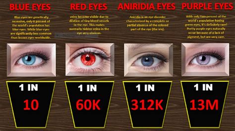 Probability Comparison: Human Eye Colors | Rarest Eyes Colours - YouTube