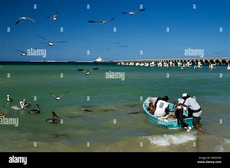 Fishing boat, fishermen, stone pier, seagulls at Gulf of Mexico in Progreso Yucatan Mexico Stock ...