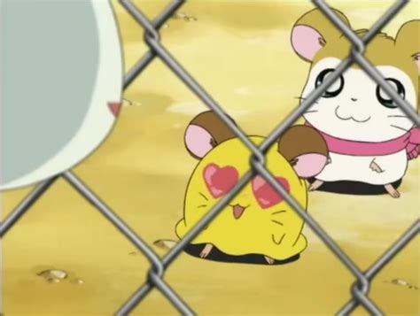 Penelope Makes a Friend/Gallery | The Hamtaro Wiki | Fandom