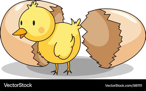 Chick hatching Royalty Free Vector Image - VectorStock