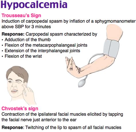 Rosh Review | Endocrine system nursing, Nurse study notes, Nursing mnemonics