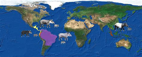 world-tapir-map-habitat | Tapir Specialist Group