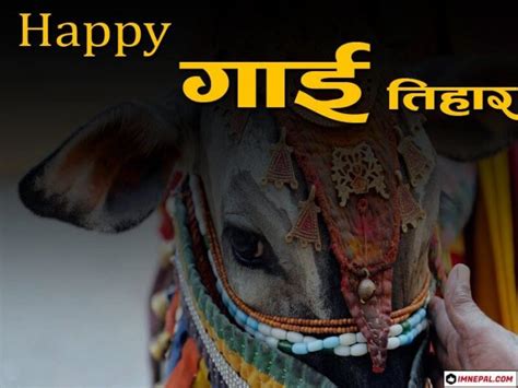 Happy Gai Tihar Images - 50 Greeting Cards Designs For Cow Puja Nepal