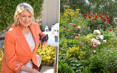 Martha Stewart gives a 'chaotic' cottage garden masterclass – our garden expert explains how to ...