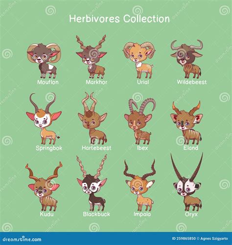 Big Collection of Herbivore Animals with Name Text Stock Vector - Illustration of beautiful ...