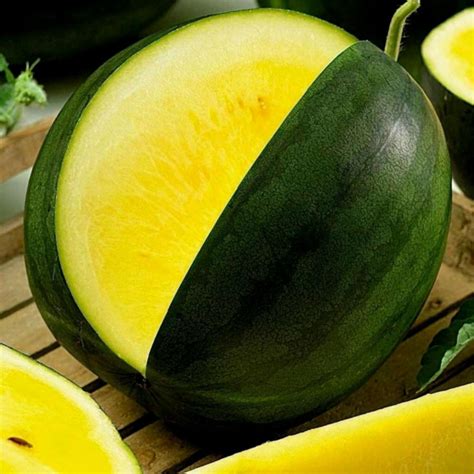 Yellow Watermelon Seeds JANOSIK - Price €1.55