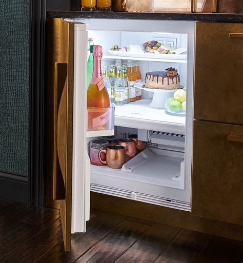 Designer Undercounter | Sub-Zero 24" Fridge/Freezer DEU2450CI