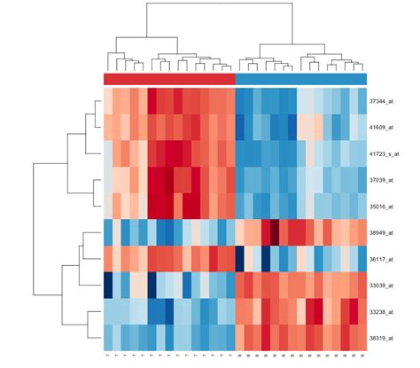 Heatmaps