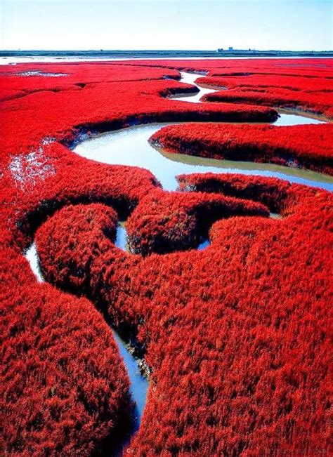 Red Beach ... China ?? - Virily