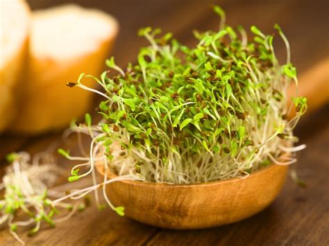 16 Best Health Benefits and Side Effects of Sprouts | Styles At Life